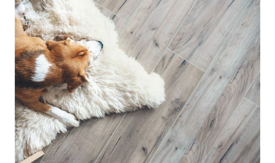 Wykorzystanie owczych skór w dekoracjach wnętrz